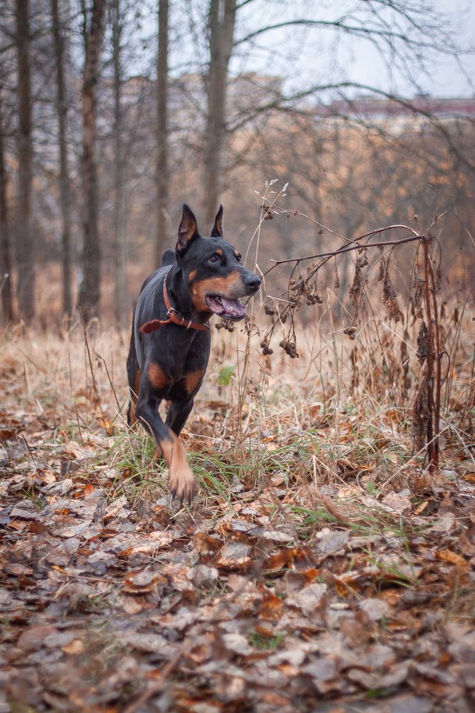Фотография автора Екатерина Иванова