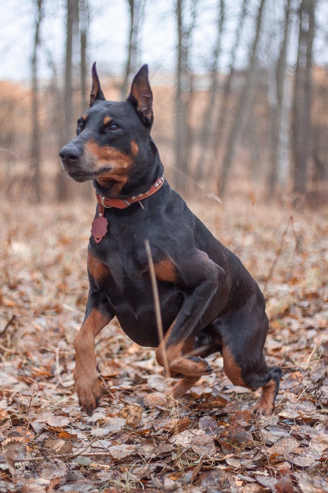 Фотография автора Екатерина Иванова