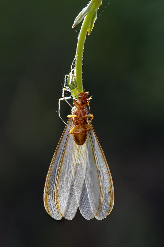 Photograph by DEEPAK ESHWAR