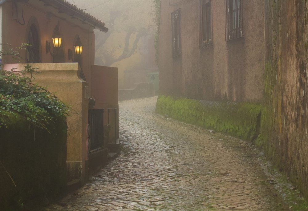 Photograph by Paulo Viegas