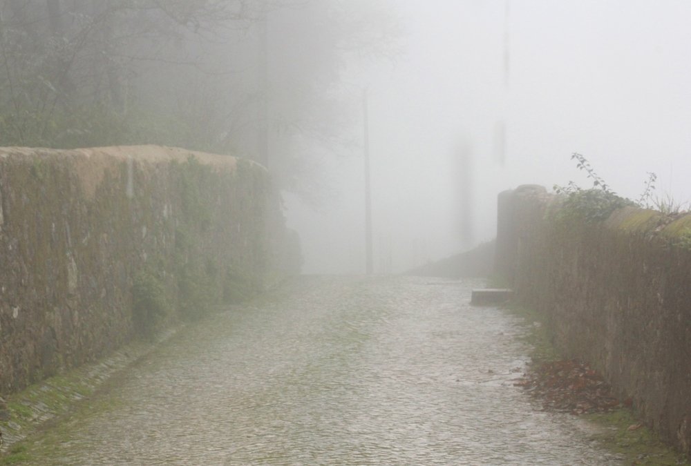 Photograph by Paulo Viegas