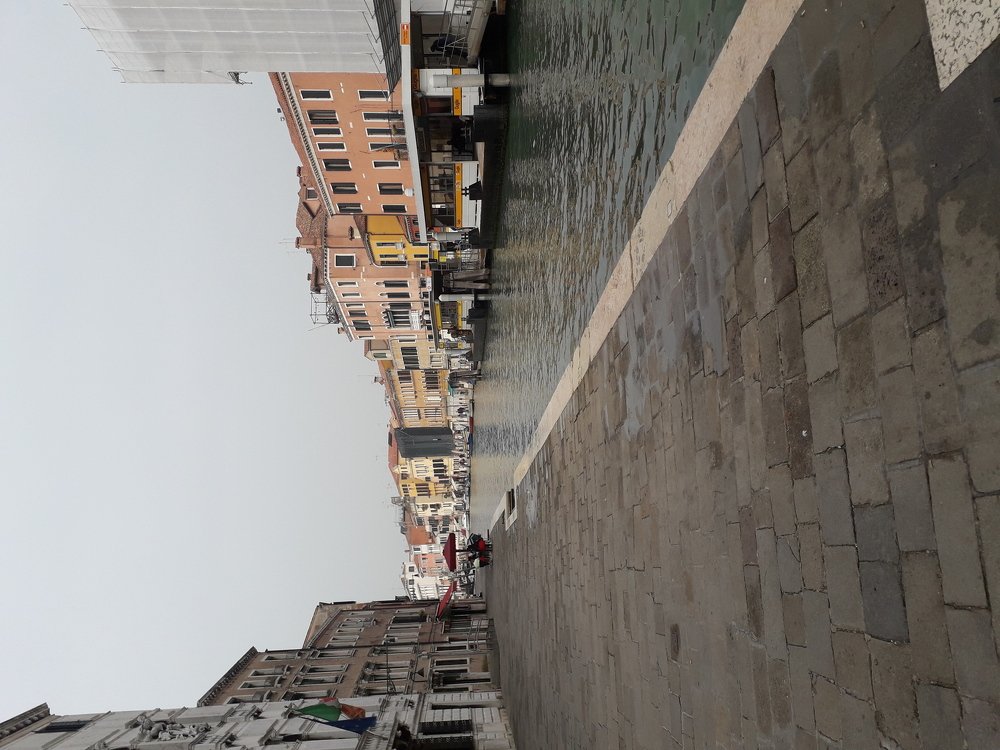 Photo #3909017