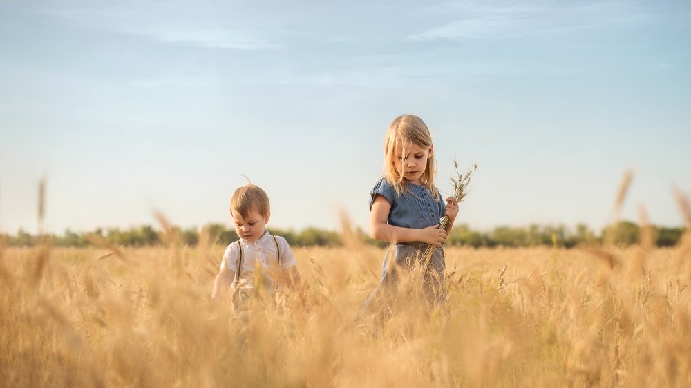 Photograph by Светлана Тетера