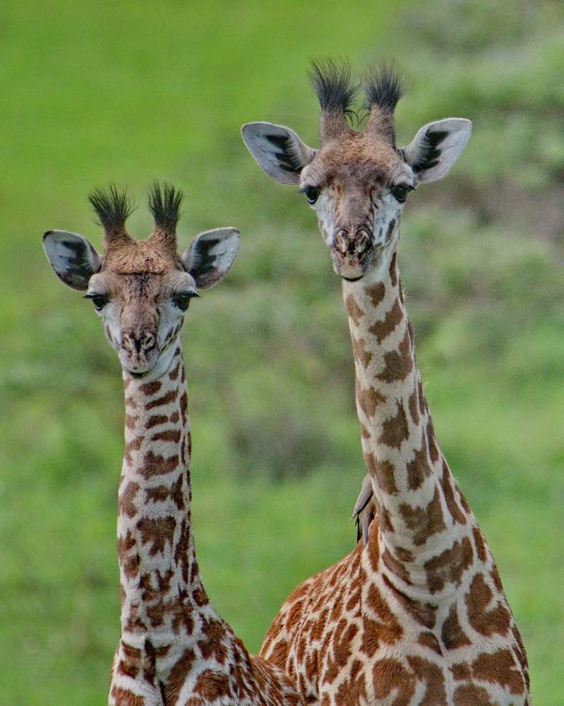 Photograph by Lev Prilutsky