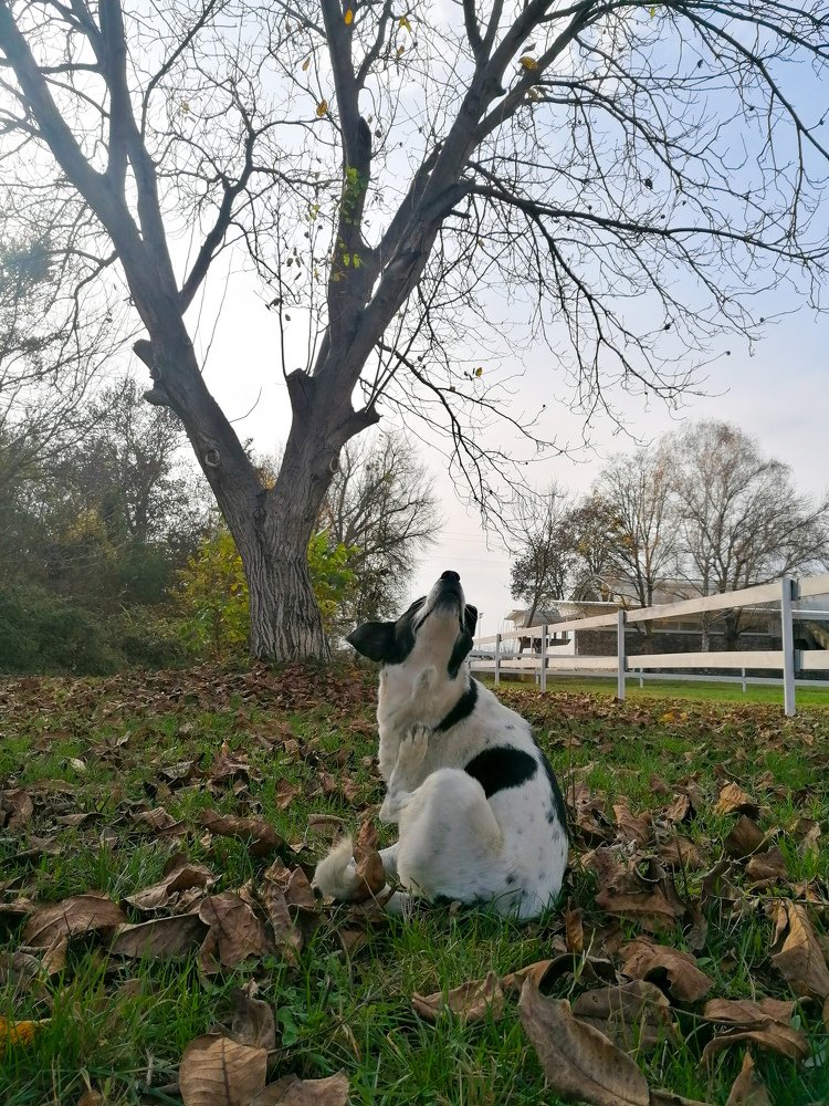 Photograph by Daniela Stanojkovska