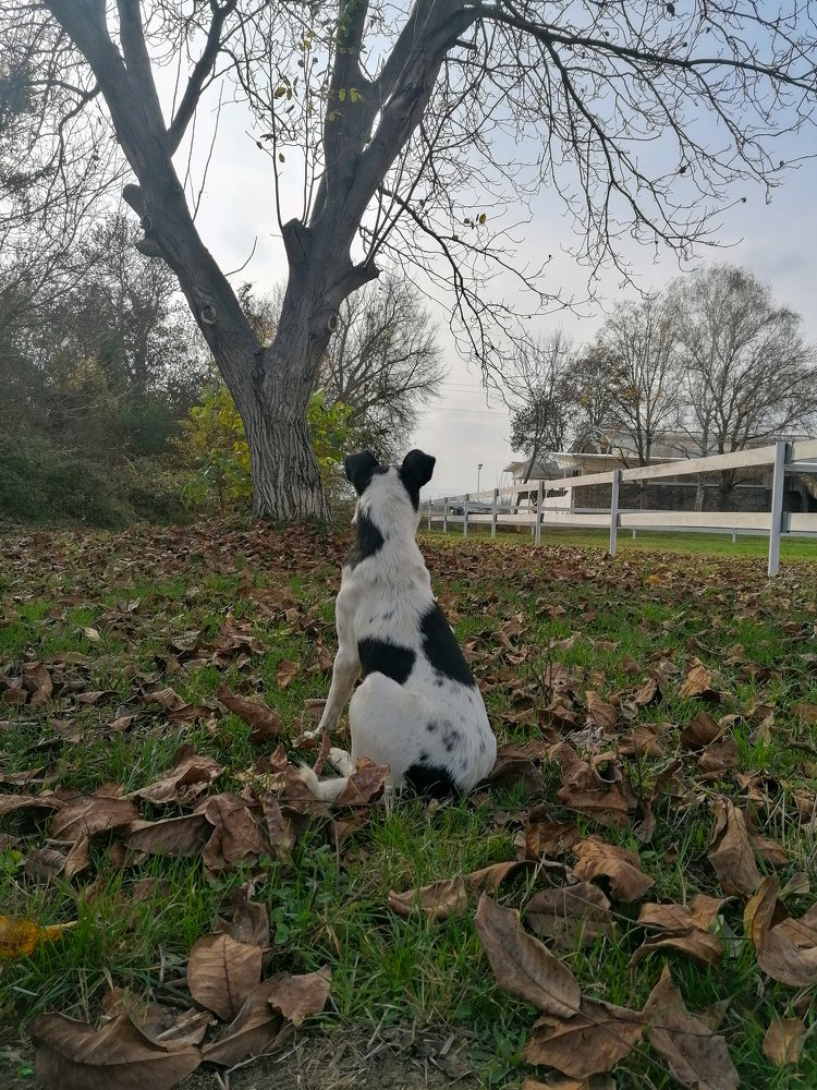 Photograph by Daniela Stanojkovska