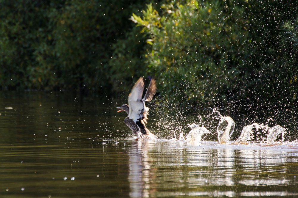 Photograph by Герман