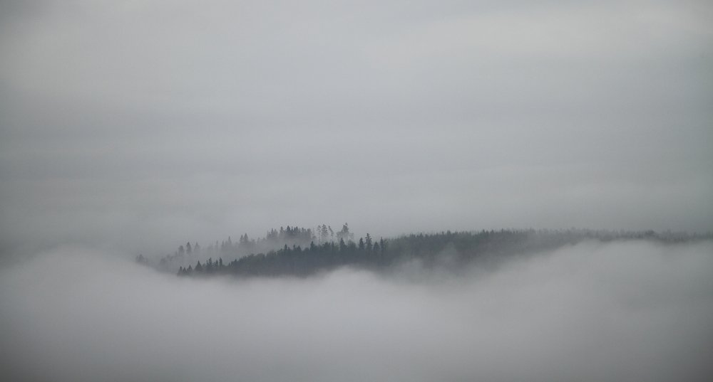 Карельское утро.