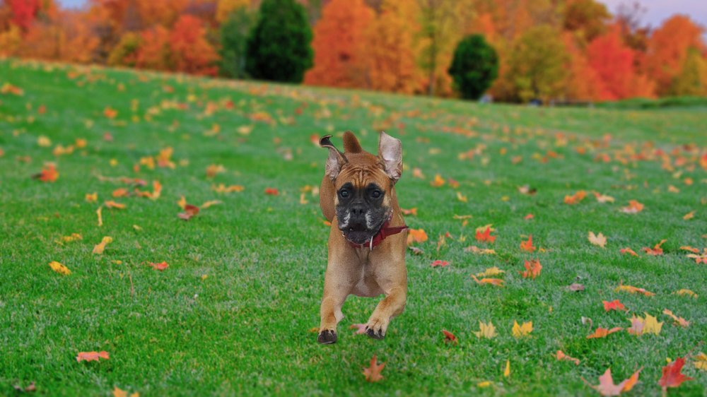 Photograph by Елена Мормоль