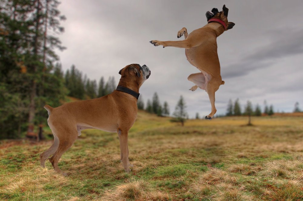 Photograph by Елена Мормоль