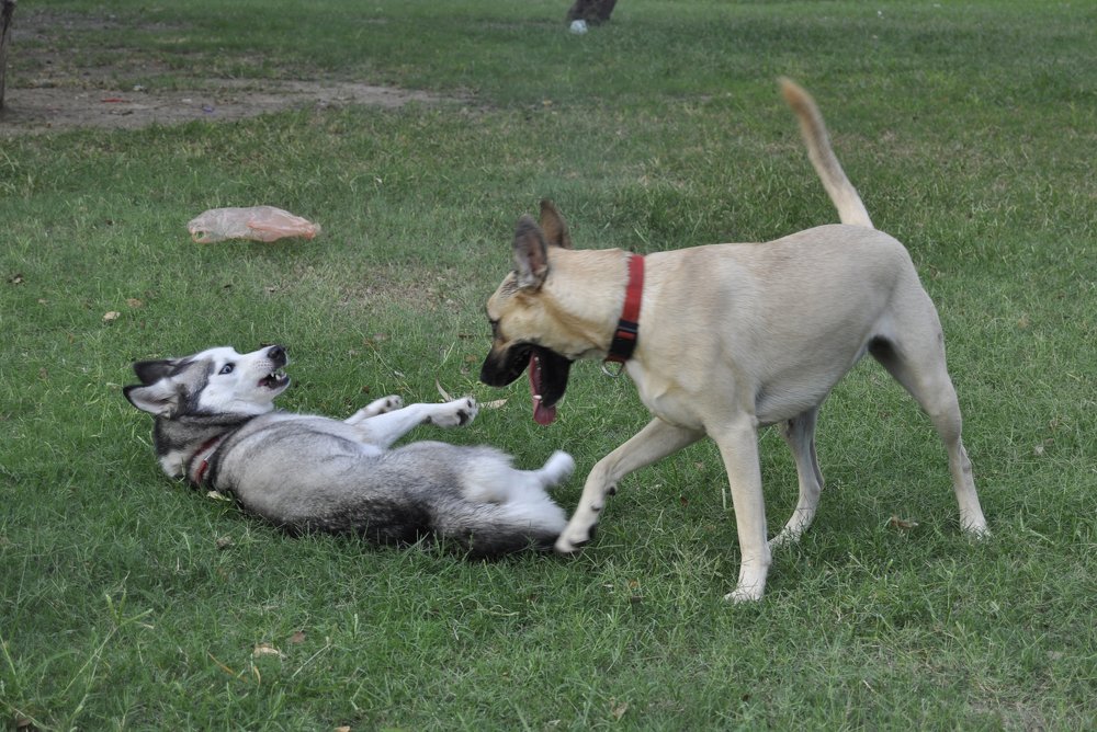 Photograph by Яков