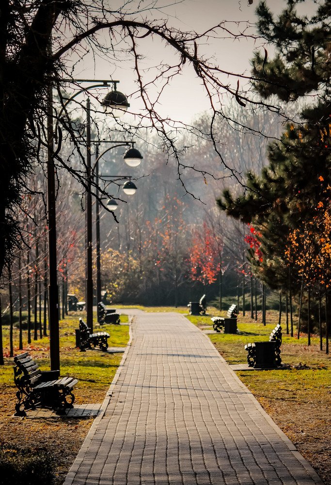 Утренняя прогулка в Ботаническом саду