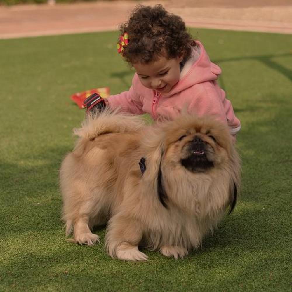 Photograph by Яков