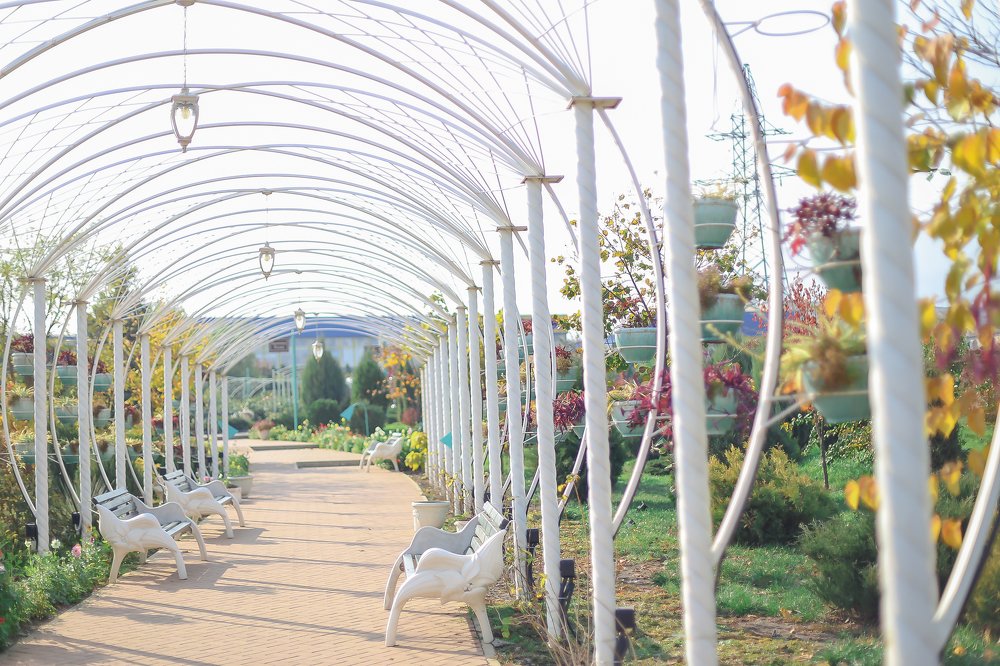 Photograph by Ольга Воскресенская