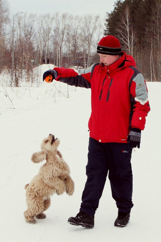 Photograph by Вахромова Елена