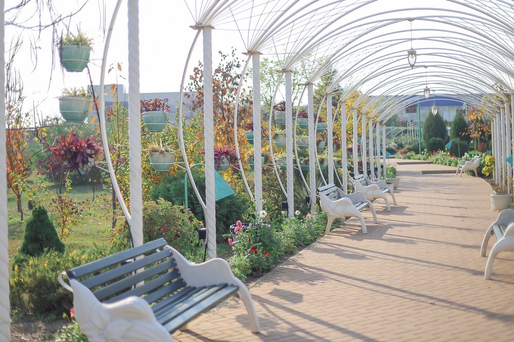 Photograph by Ольга Воскресенская