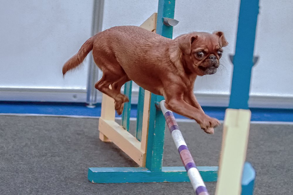 Photograph by Сергей Черных