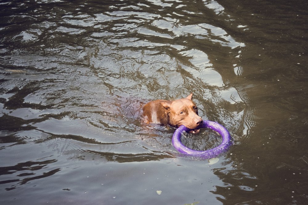 Photograph by Людмила Казак