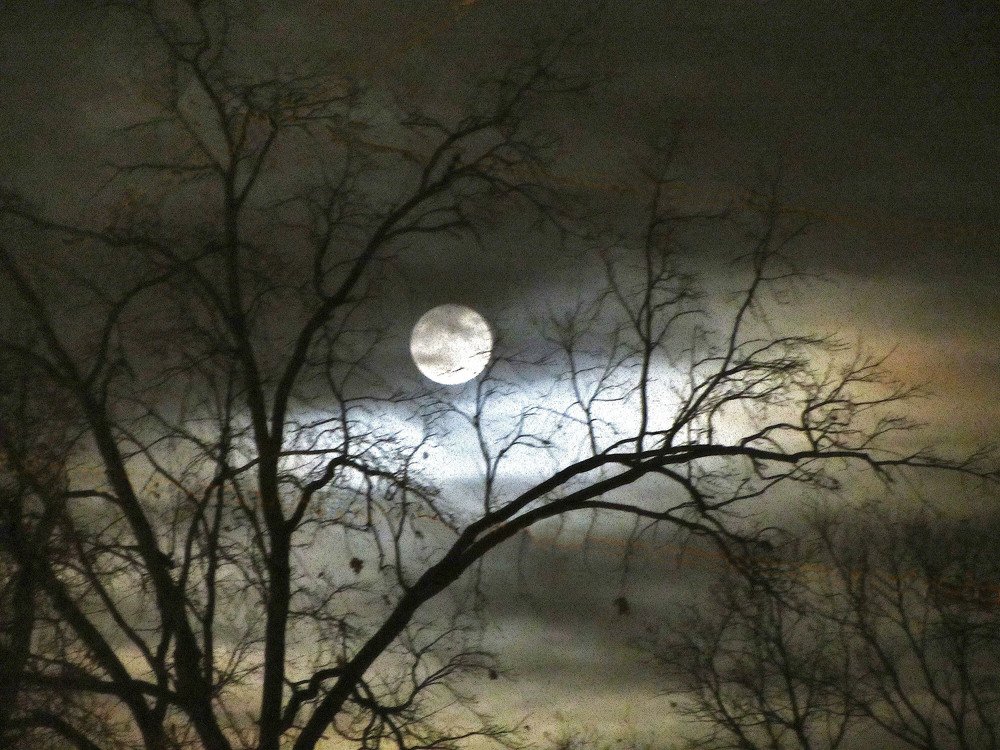 Photograph by Виктор