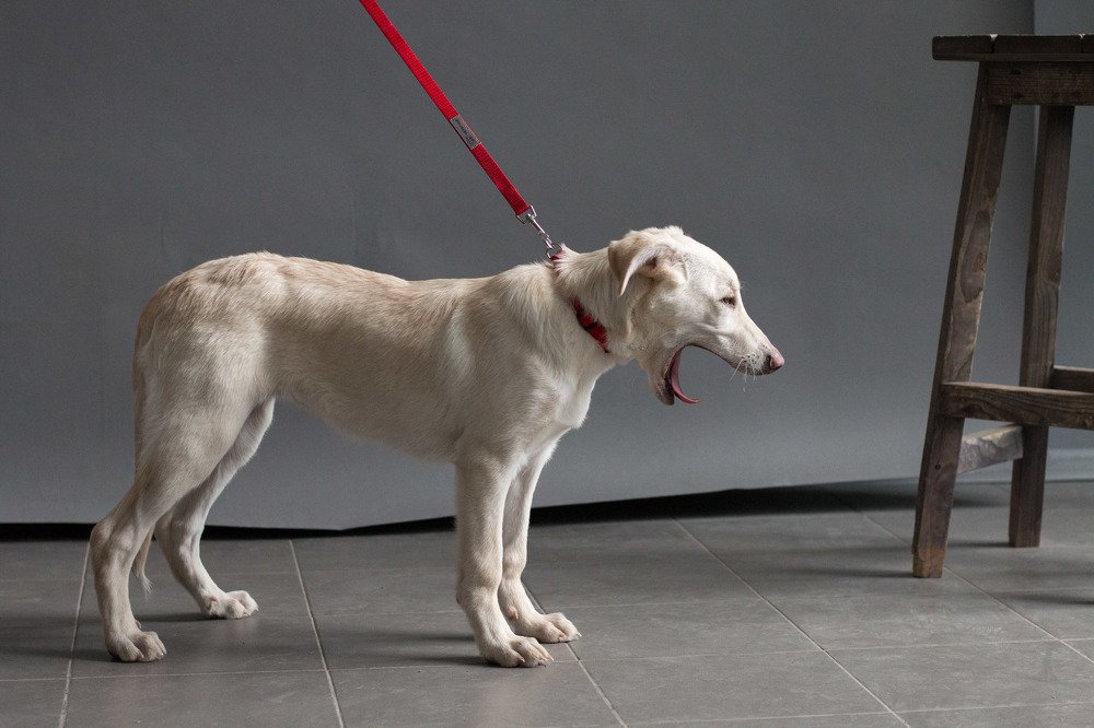 Photograph by Андрей Кульков