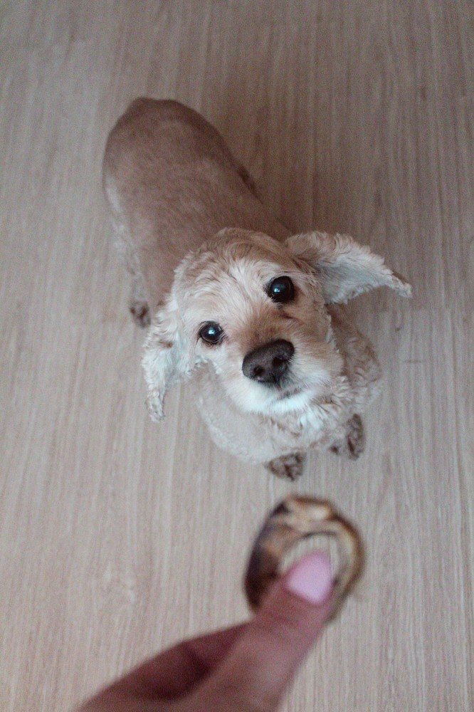 Photograph by Вахромова Елена