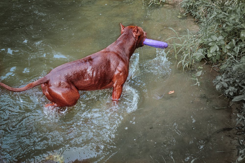 Photograph by Людмила Казак
