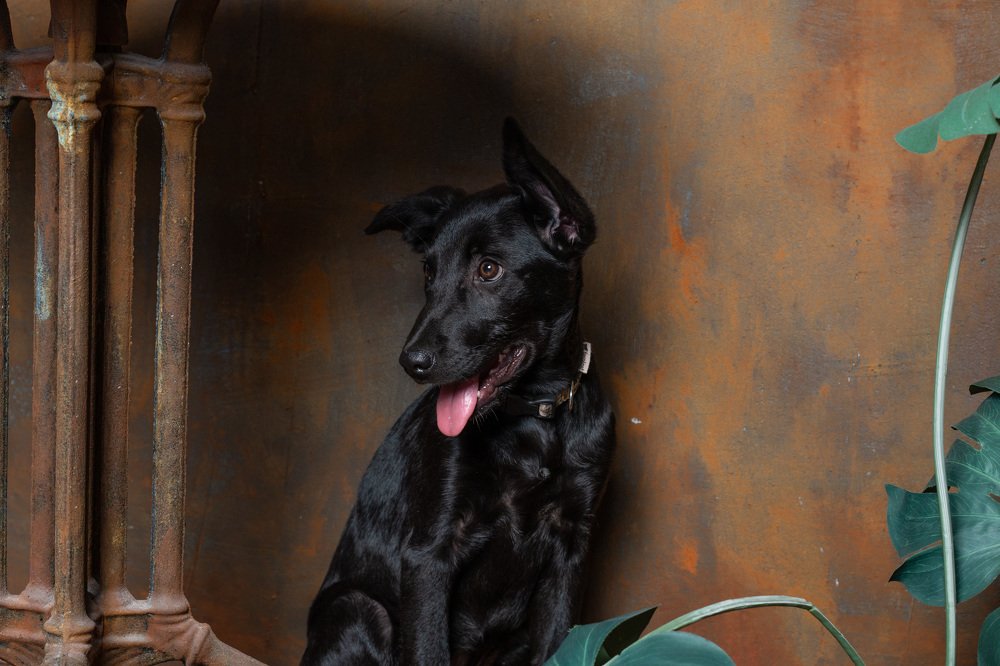 Photograph by Андрей Кульков