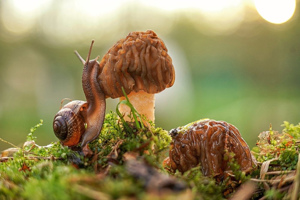 Через тернии к звездам