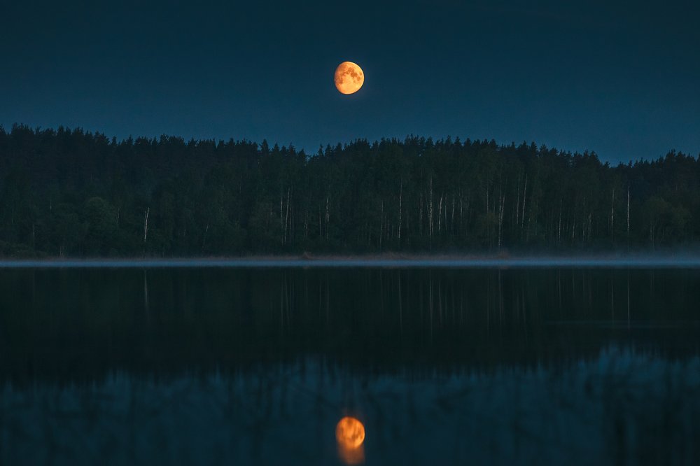 Photograph by Олег Борищенков