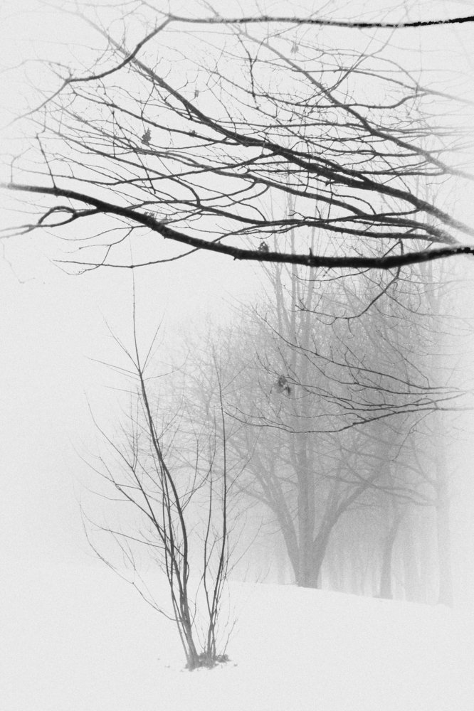 Photograph by Александр Знак-Мазуркевич