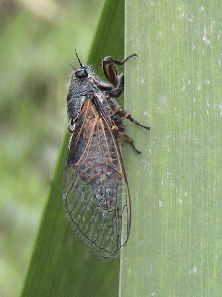 Photograph by Марина Белькова