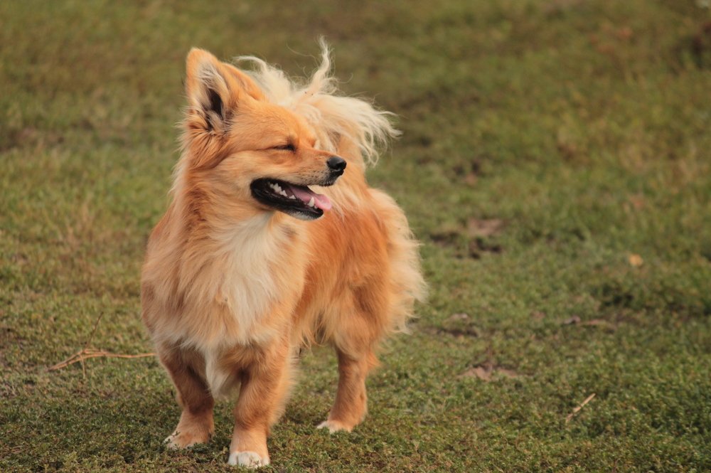 Photograph by Игорь Улитин