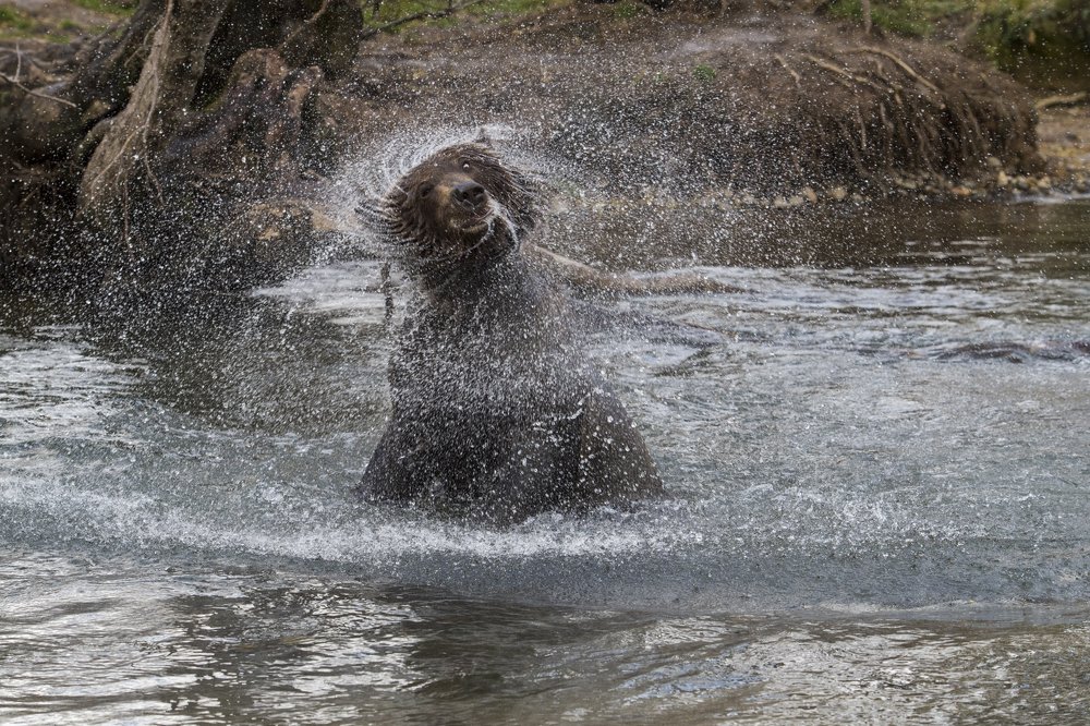Photograph by Алексей Шаскольский