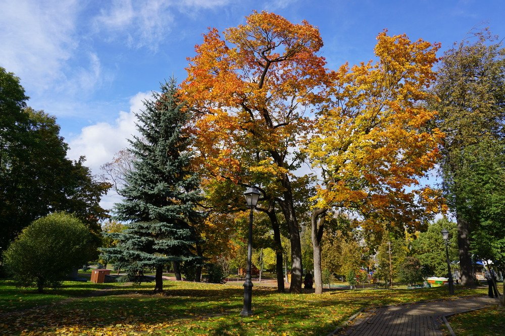 Photograph by Нина Мотренко