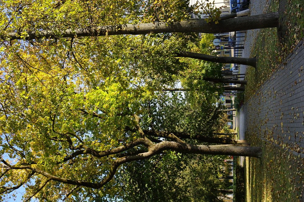 Photograph by Нина Мотренко