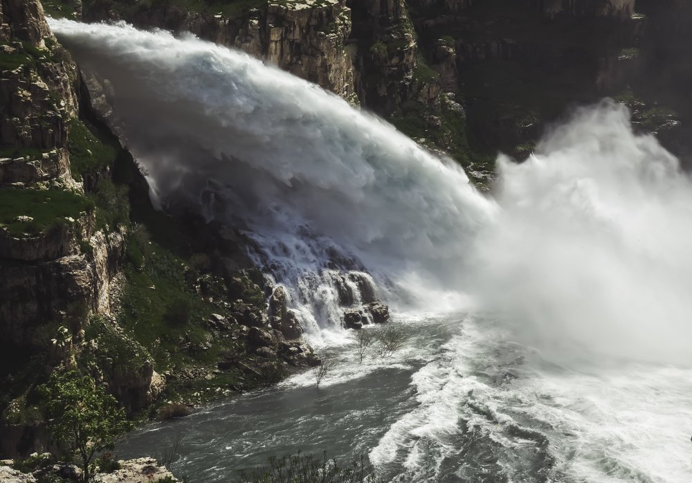 Photograph by Aram Rustayi