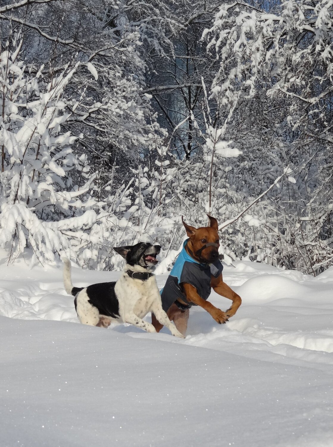 Photo #3910127