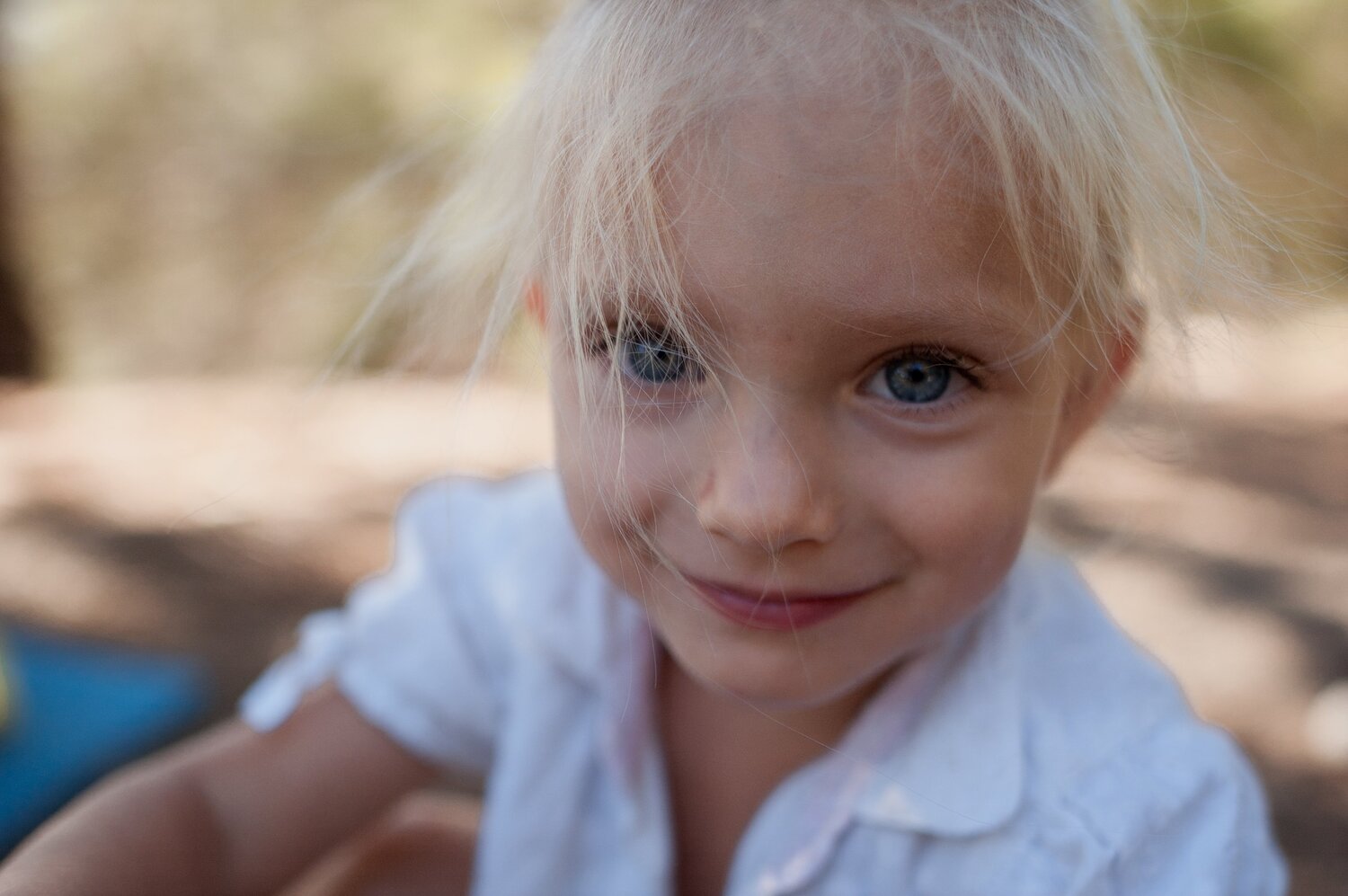 Photo #3910129
