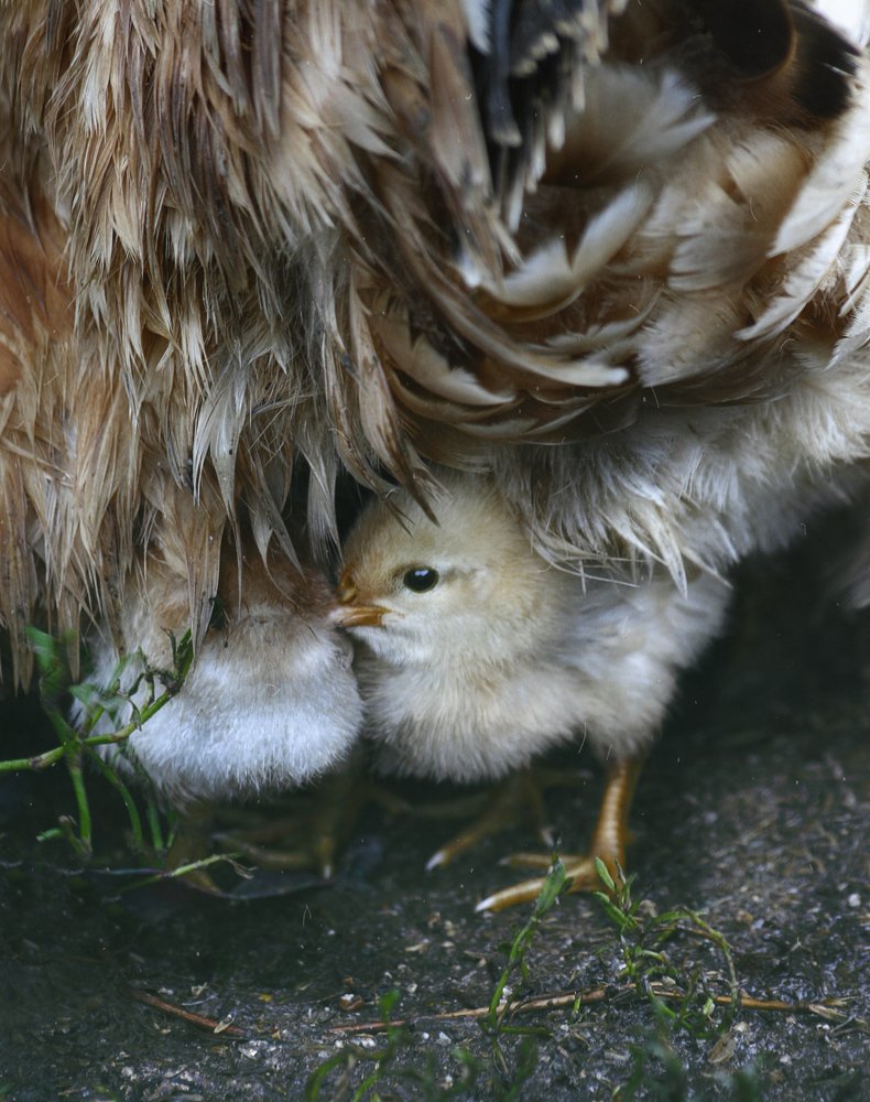 Photograph by Svoboda Andreeva