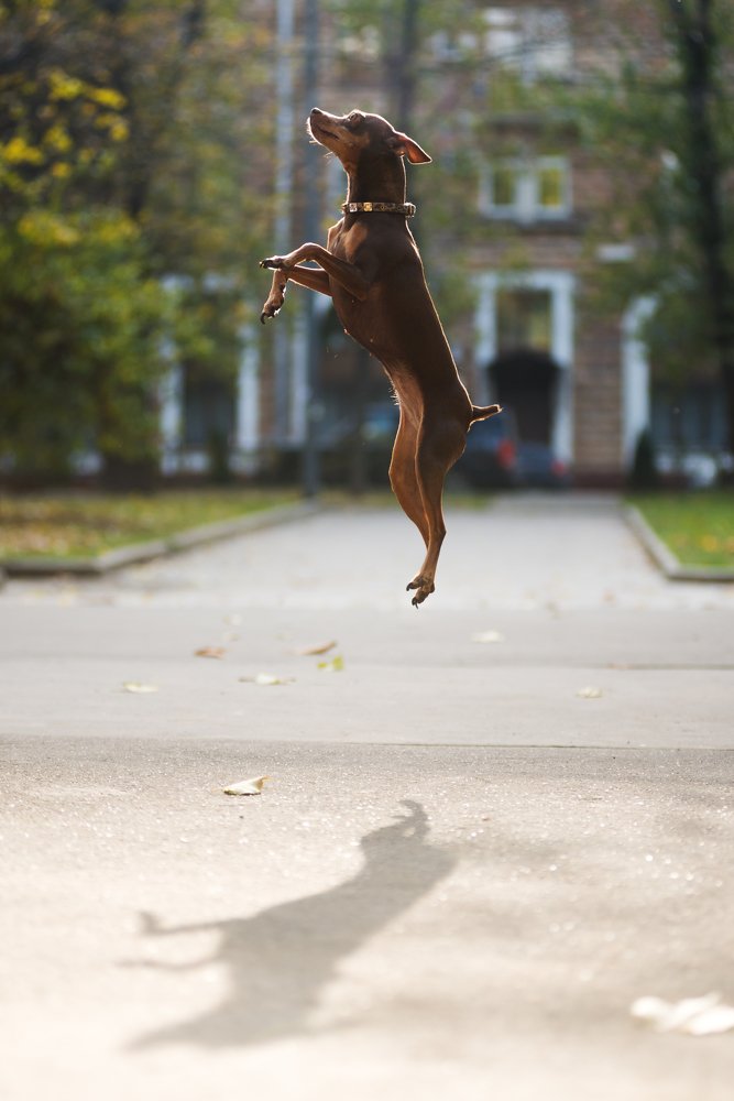 «Выше радуги!»