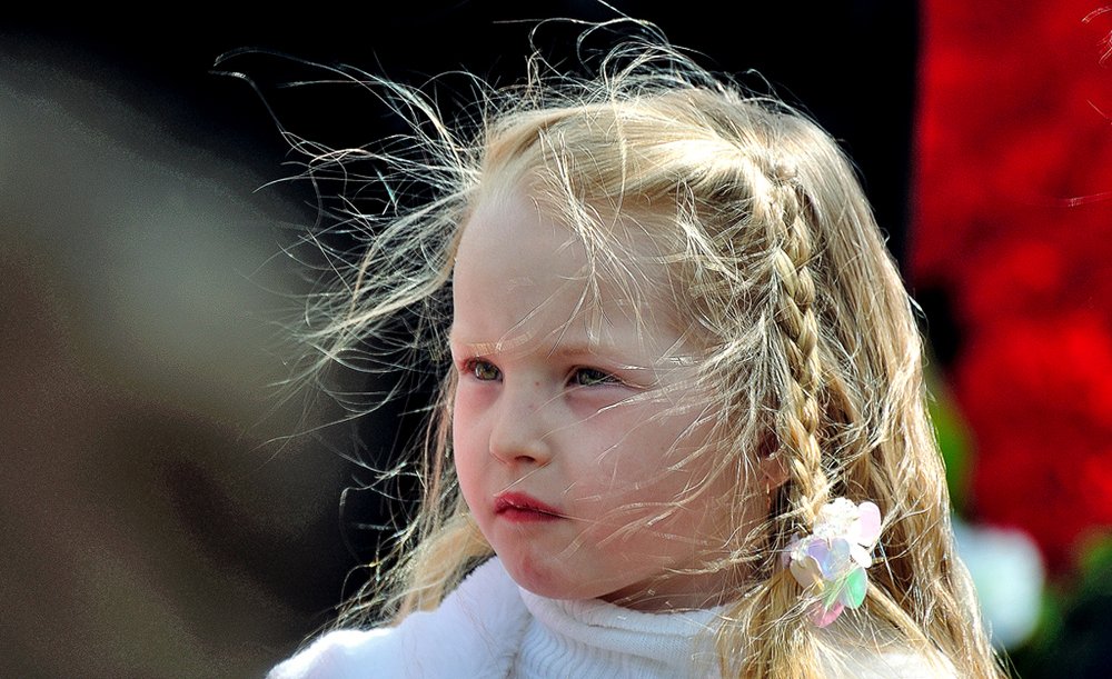 Photograph by Сергей