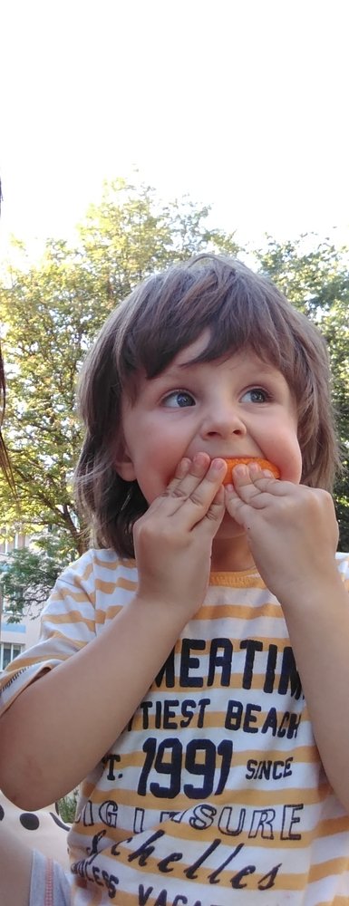 Photo #3910295