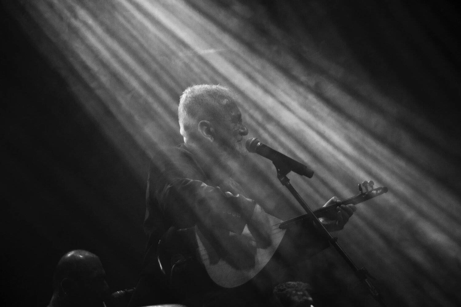 Photo #3910449