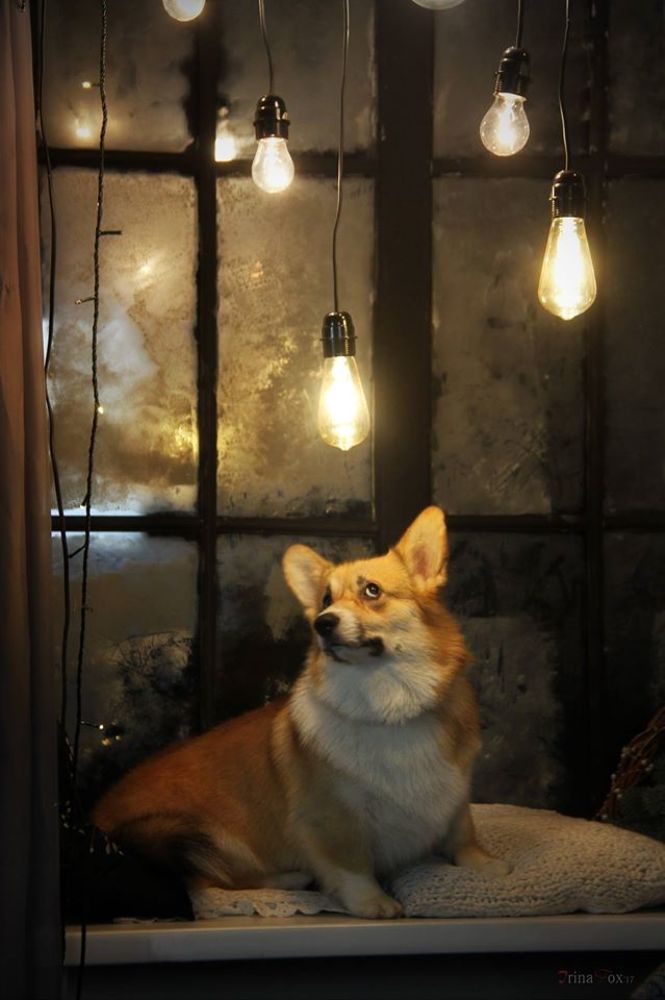 Photograph by Irina Khrustalova