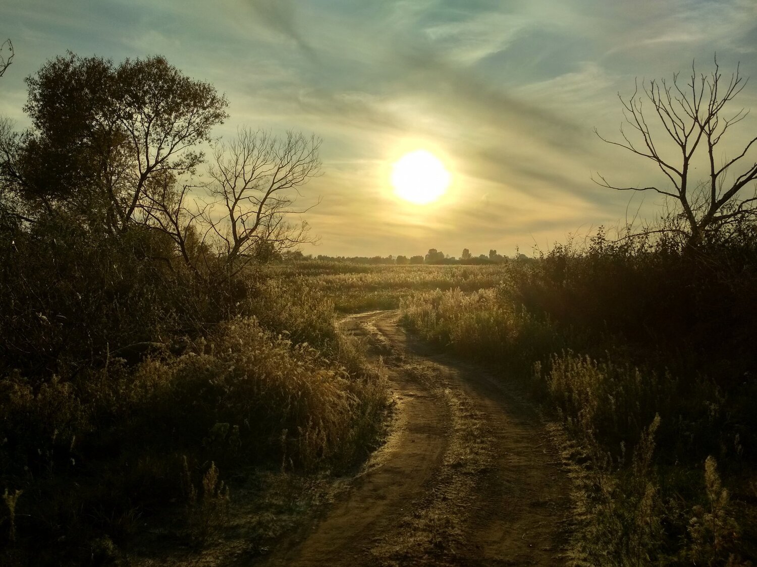 Photo #3910463