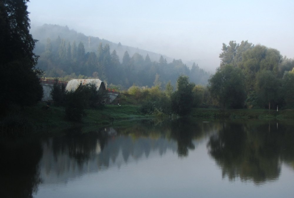 Photo #3910491
