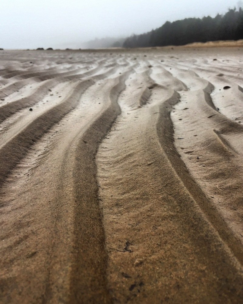 Photograph by Светлана Коган