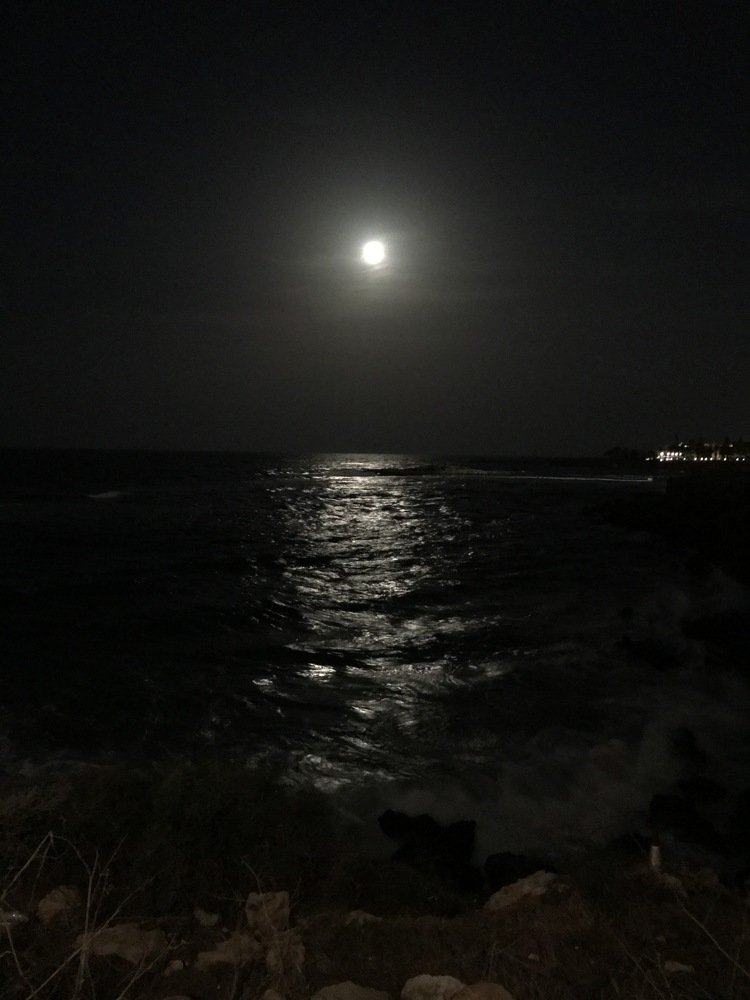 Photograph by Лисовой Максим