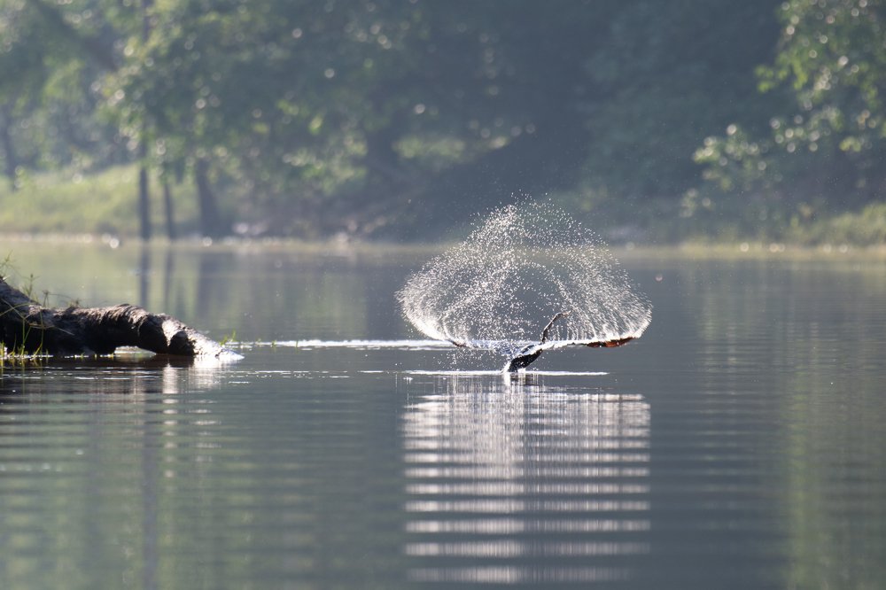 Photograph by Сергей Сыресин