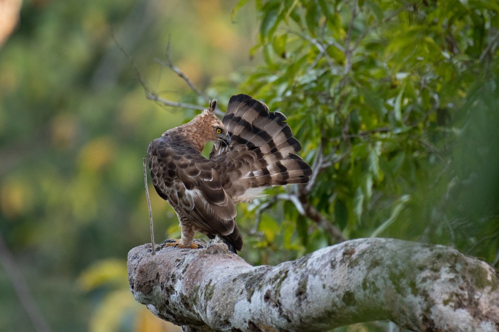 Photograph by Сергей Сыресин
